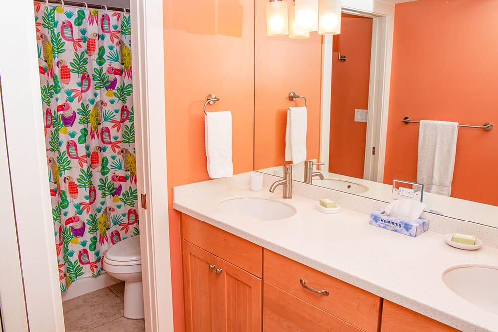 201 guest Bathroom